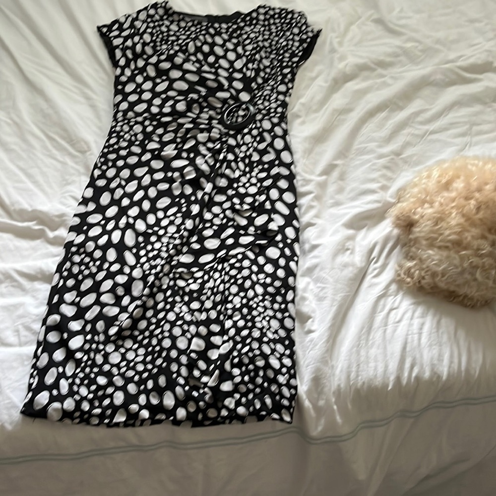 Donna Ricco Dress